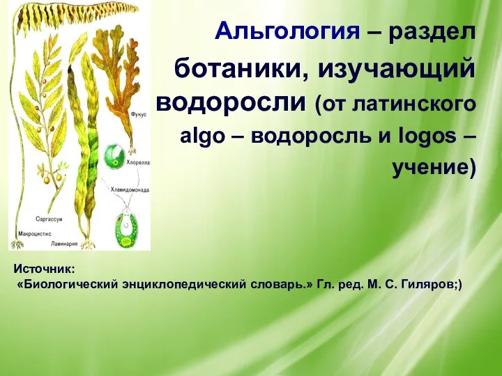 Альгология – раздел ботаники, изучающий водоросли (от латинского algo – водоросль и