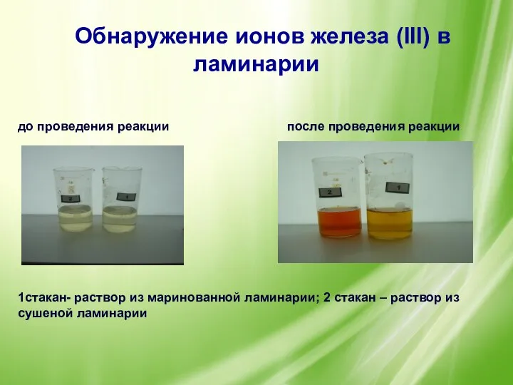 Обнаружение ионов железа (III) в ламинарии 1стакан- раствор из маринованной ламинарии; 2