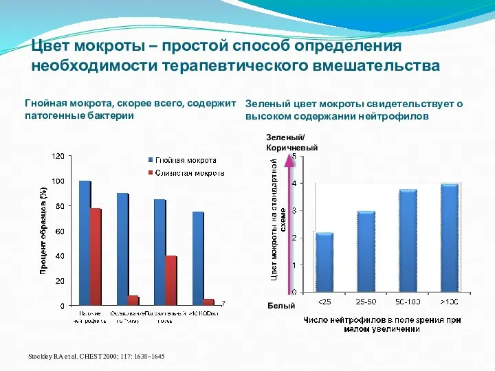 Цвет мокроты – простой способ определения необходимости терапевтического вмешательства Гнойная мокрота, скорее