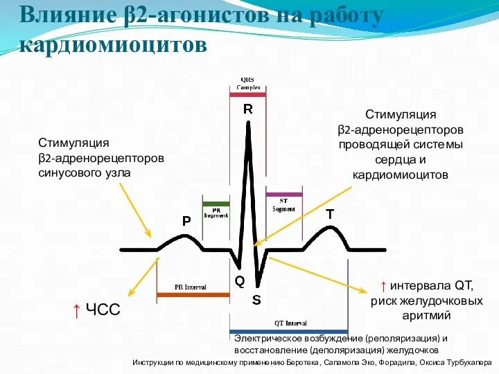 Влияние β2-агонистов на работу кардиомиоцитов Стимуляция β2-адренорецепторов синусового узла Стимуляция β2-адренорецепторов проводящей