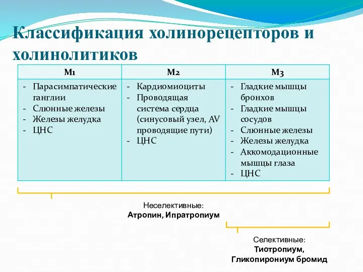 Классификация холинорецепторов и холинолитиков Неселективные: Атропин, Ипратропиум Селективные: Тиотропиум, Гликопирониум бромид