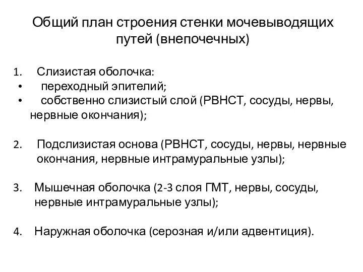 Общий план строения стенки мочевыводящих путей (внепочечных) Слизистая оболочка: переходный эпителий; собственно