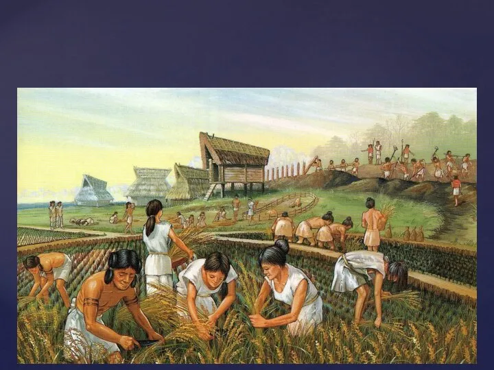 Главным занятием населения в условиях традиционного общества является сельское хозяйство. В восточных