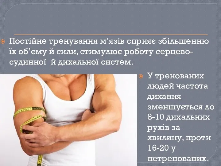 Постійне тренування м’язів сприяє збільшенню їх об’єму й сили, стимулює роботу серцево-судинної