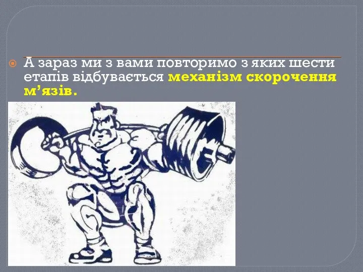 А зараз ми з вами повторимо з яких шести етапів відбувається механізм скорочення м’язів.