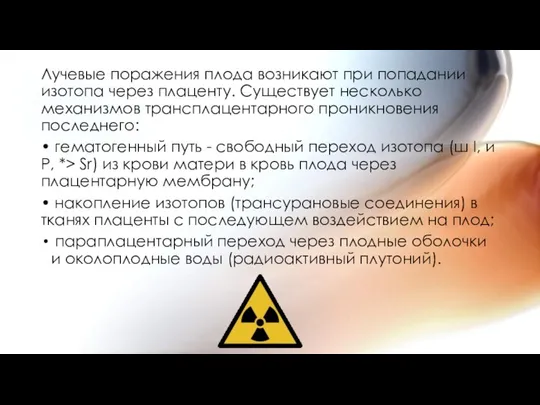 Лучевые поражения плода возникают при попадании изотопа через плаценту. Существует несколько механизмов