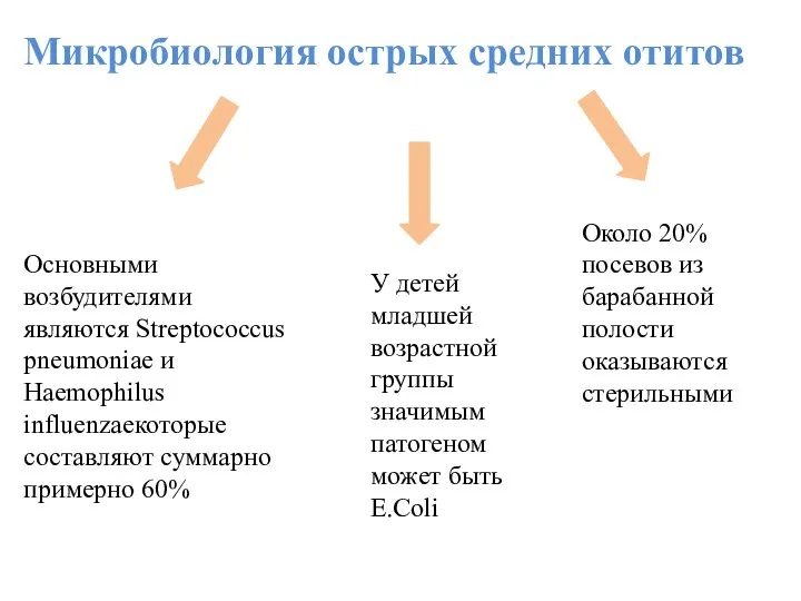 Микробиология острых средних отитов Основными возбудителями являются Streptococcus pneumoniae и Haemophilus influenzaeкоторые