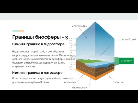 Границы биосферы - 3 Воды океанов, морей, озёр и рек образуют гидросферу,