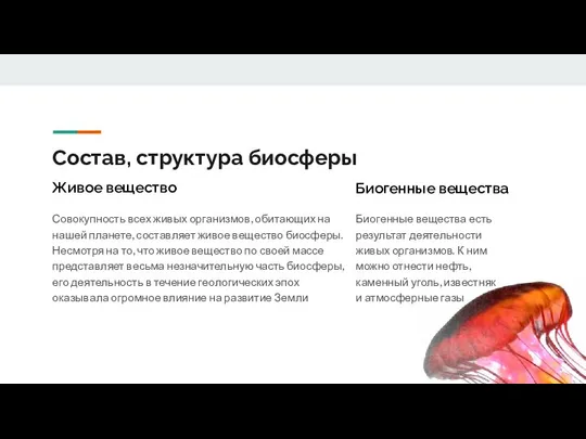 Состав, структура биосферы Совокупность всех живых организмов, обитающих на нашей планете, составляет