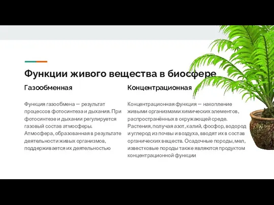 Функции живого вещества в биосфере Функция газообмена — результат процессов фотосинтеза и