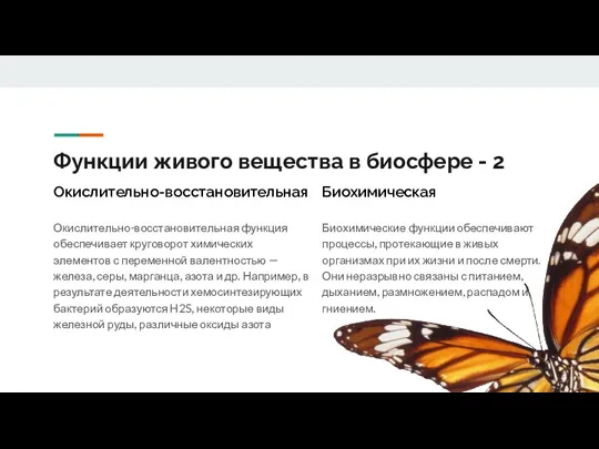 Функции живого вещества в биосфере - 2 Окислительно-восстановительная функция обеспечивает круговорот химических