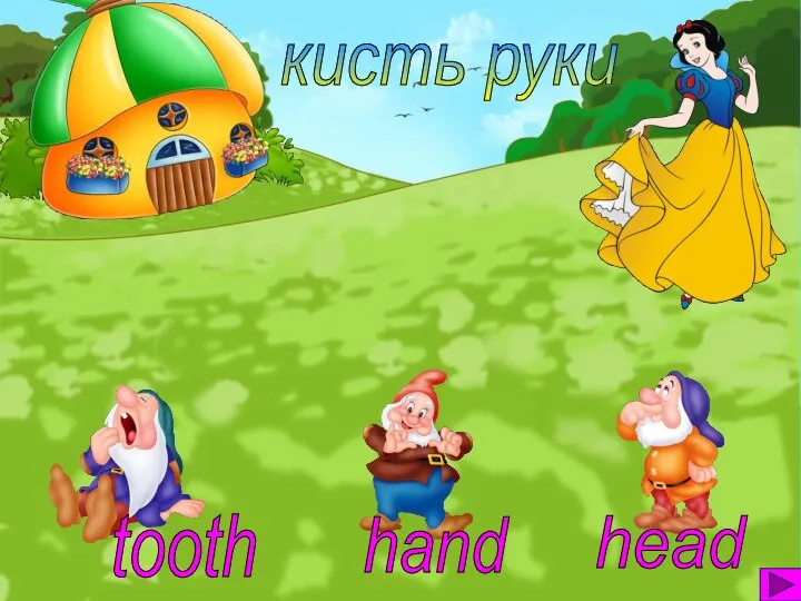 кисть руки