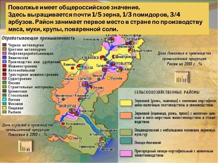 Поволжье имеет общероссийское значение. Здесь выращивается почти 1/5 зерна, 1/3 помидоров, 3/4