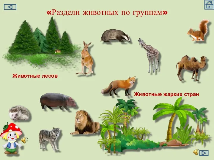 «Раздели животных по группам» Животные лесов Животные жарких стран