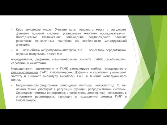 Кора головного мозга. Участие коры головного мозга в регуляции функции половой системы