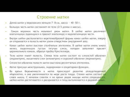 Строение матки Длина матки у нерожавших женщин 7—8 см, масса — 40—50