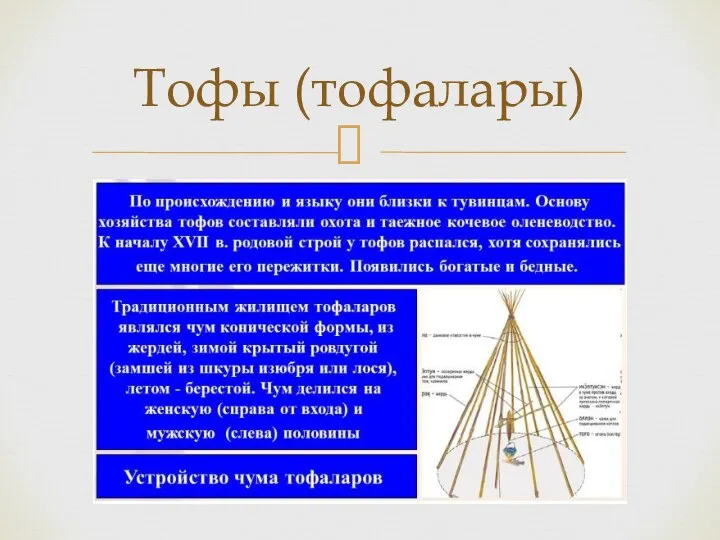 Тофы (тофалары)