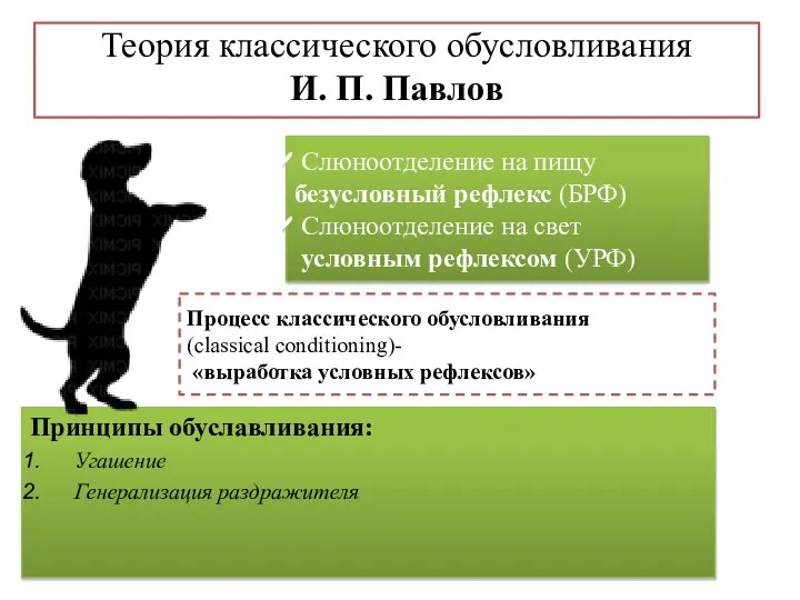 Теория классического обусловливания И. П. Павлов Принципы обуславливания: Угашение Генерализация раздражителя Дифференцировка