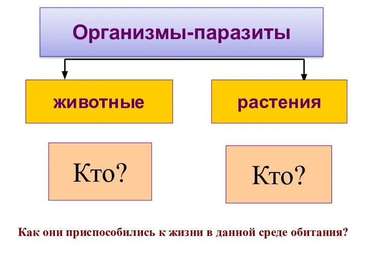 Организмы-паразиты растения животные Кто? Кто? Как они приспособились к жизни в данной среде обитания?