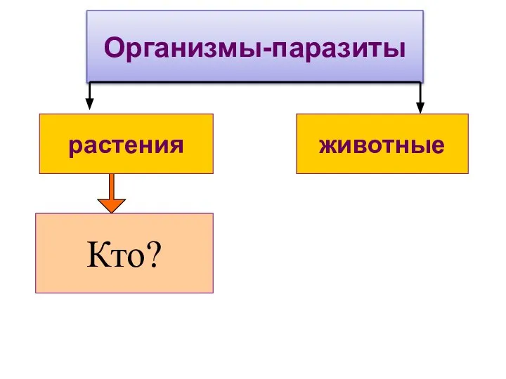 Организмы-паразиты растения животные Кто?