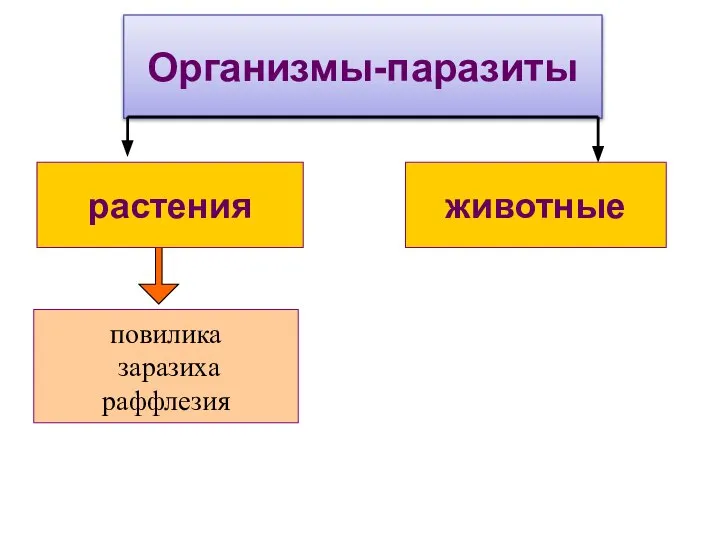 Организмы-паразиты растения животные повилика заразиха раффлезия