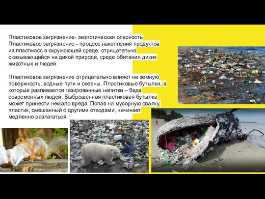 Пластиковое загрязнение- экологическая опасность Пластиковое загрязнение - процесс накопления продуктов из пластмасс