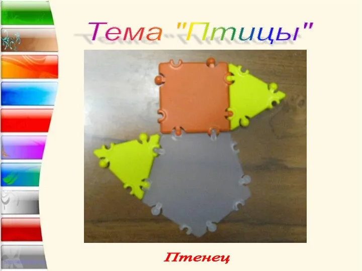 Тема "Птицы" Птенец