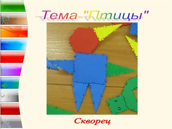 Тема "Птицы" Скворец