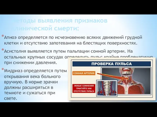 Методы выявления признаков клинической смерти: Апноэ определяется по исчезновению всяких движений грудной