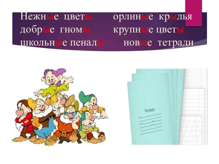 Нежные цветы орлиные крылья добрые гномы крупные цветы школьные пеналы новые тетради