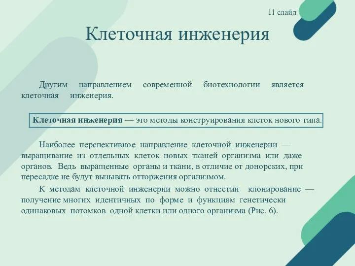 Клеточная инженерия Другим направлением современной биотехнологии является клеточная инженерия. Клеточная инженерия —