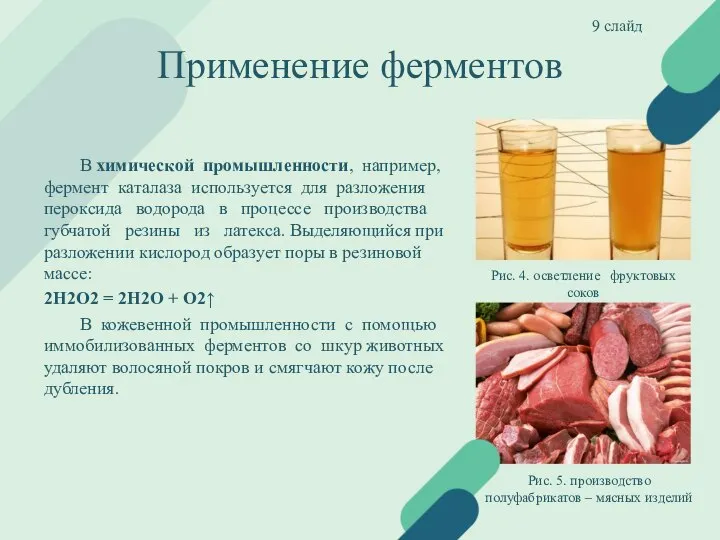 Применение ферментов В химической промышленности, например, фермент каталаза используется для разложения пероксида