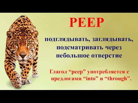 PEEP подглядывать, заглядывать, подсматривать через небольшое отверстие Глагол “peep” употребляется с предлогами “into” и “through”.