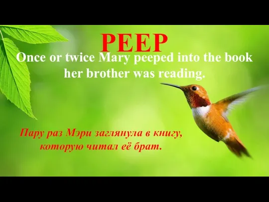 PEEP Once or twice Mary peeped into the book her brother was