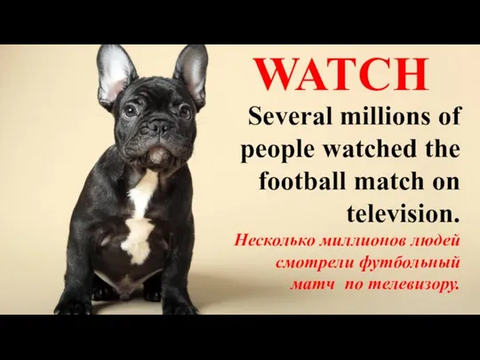 WATCH Several millions of people watched the football match on television. Несколько