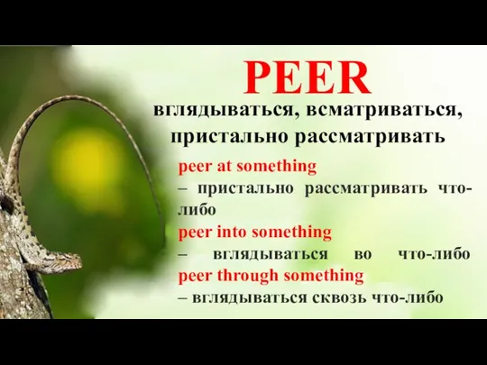 PEER вглядываться, всматриваться, пристально рассматривать peer at something – пристально рассматривать что-либо