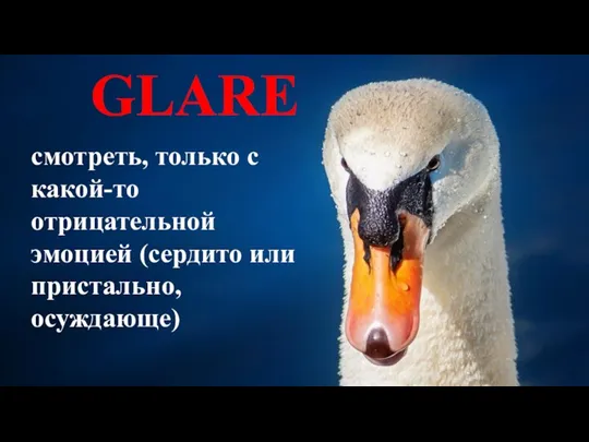 GLARE смотреть, только с какой-то отрицательной эмоцией (сердито или пристально, осуждающе)