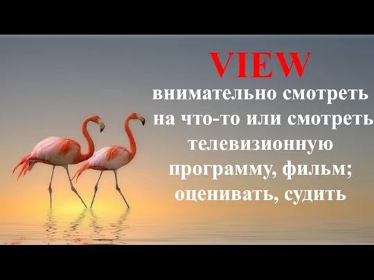 VIEW внимательно смотреть на что-то или смотреть телевизионную программу, фильм; оценивать, судить