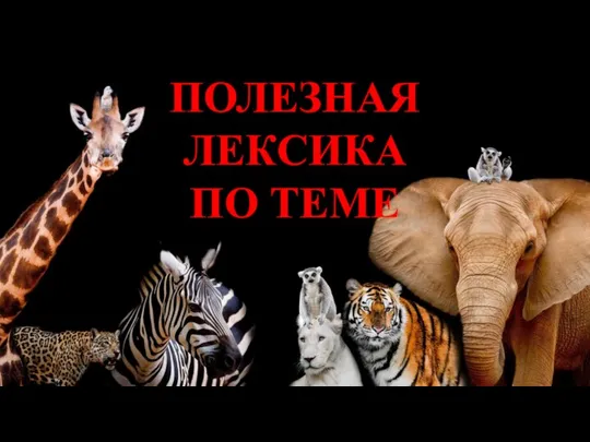 ПОЛЕЗНАЯ ЛЕКСИКА ПО ТЕМЕ