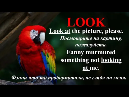 LOOK Look at the picture, please. Посмотрите на картину, пожалуйста. Fanny murmured