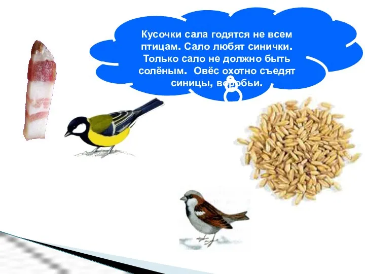 Кусочки сала годятся не всем птицам. Сало любят синички. Только сало не