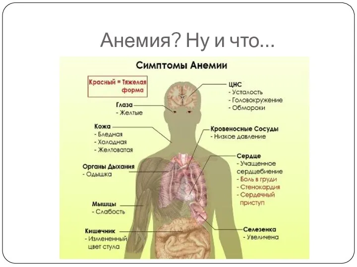 Анемия? Ну и что…