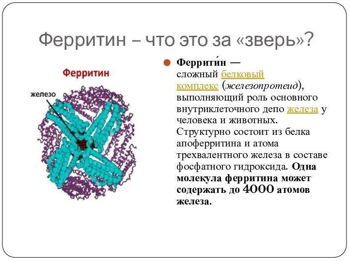 Ферритин – что это за «зверь»? Феррити́н — сложный белковый комплекс (железопротеид),