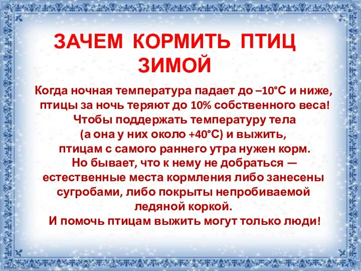 ЗАЧЕМ КОРМИТЬ ПТИЦ ЗИМОЙ Когда ночная температура падает до –10°С и ниже,