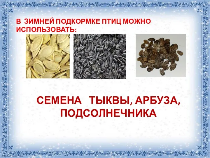 В ЗИМНЕЙ ПОДКОРМКЕ ПТИЦ МОЖНО ИСПОЛЬЗОВАТЬ: СЕМЕНА ТЫКВЫ, АРБУЗА, ПОДСОЛНЕЧНИКА