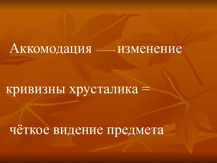 Аккомодация изменение кривизны хрусталика = чёткое видение предмета