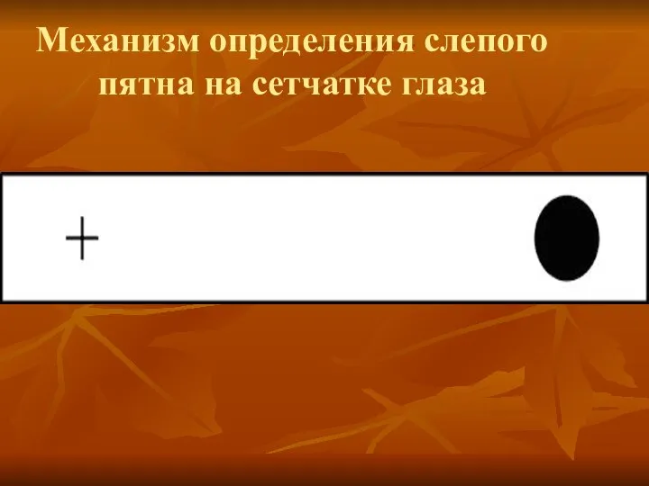 Механизм определения слепого пятна на сетчатке глаза