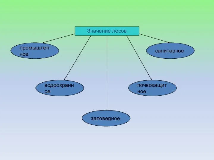 водоохранное заповедное почвозащитное санитарное промышленное Значение лесов