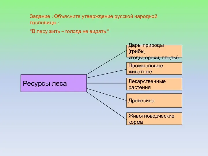 Задание : Объясните утверждение русской народной пословицы : “В лесу жить –