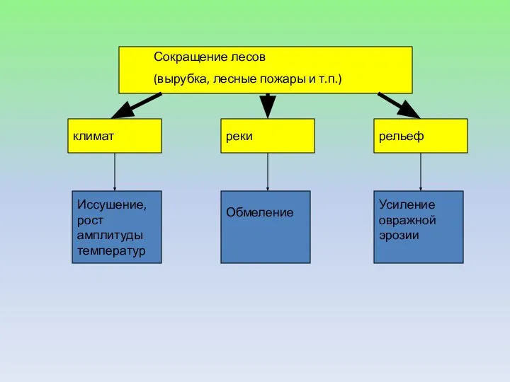 Сокращение лесов (вырубка, лесные пожары и т.п.) климат рельеф реки Иссушение, рост